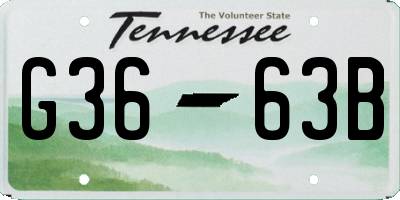 TN license plate G3663B