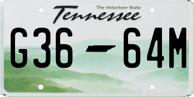 TN license plate G3664M