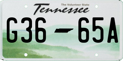 TN license plate G3665A