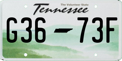 TN license plate G3673F