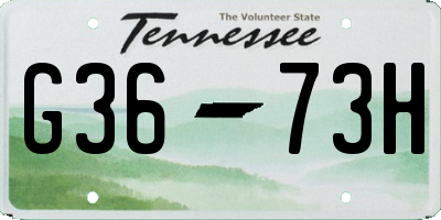 TN license plate G3673H