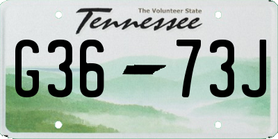 TN license plate G3673J