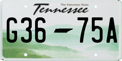 TN license plate G3675A
