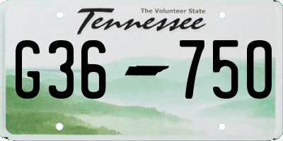 TN license plate G3675O