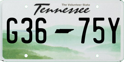 TN license plate G3675Y