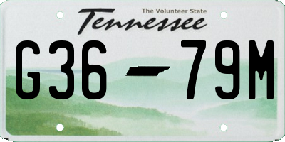 TN license plate G3679M