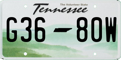 TN license plate G3680W