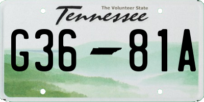 TN license plate G3681A