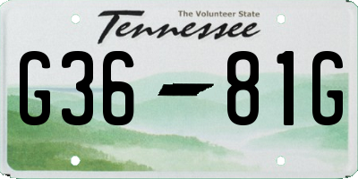 TN license plate G3681G