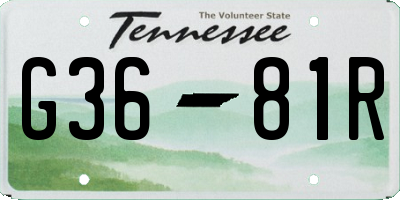 TN license plate G3681R
