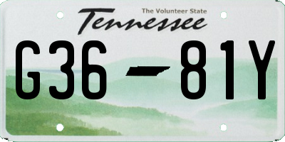 TN license plate G3681Y