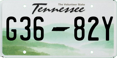 TN license plate G3682Y