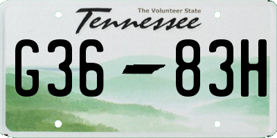 TN license plate G3683H