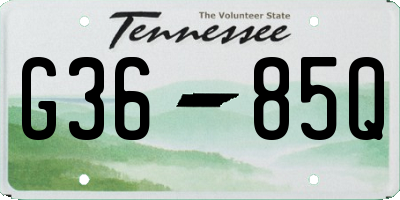 TN license plate G3685Q