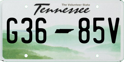 TN license plate G3685V