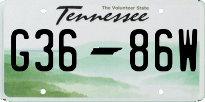 TN license plate G3686W
