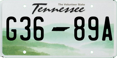 TN license plate G3689A