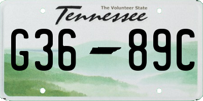 TN license plate G3689C