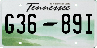 TN license plate G3689I