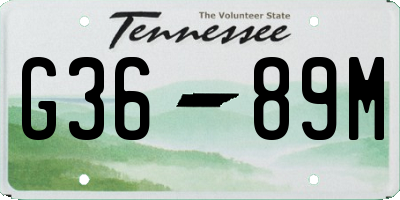 TN license plate G3689M