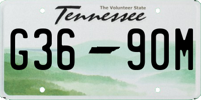 TN license plate G3690M