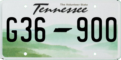 TN license plate G3690O