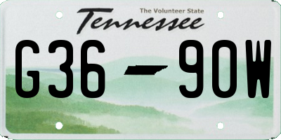 TN license plate G3690W