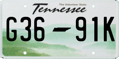 TN license plate G3691K
