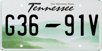 TN license plate G3691V