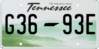 TN license plate G3693E