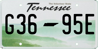 TN license plate G3695E