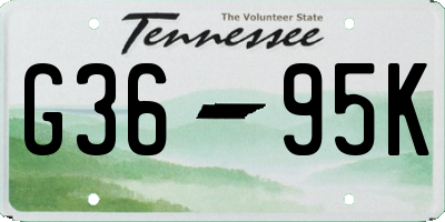 TN license plate G3695K