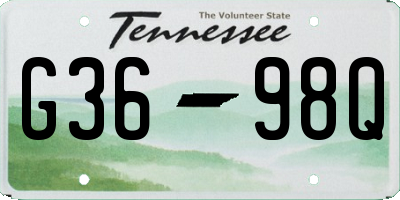 TN license plate G3698Q