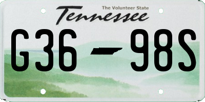 TN license plate G3698S