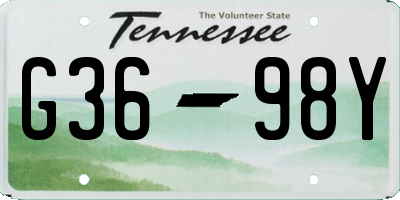 TN license plate G3698Y