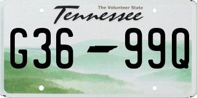 TN license plate G3699Q