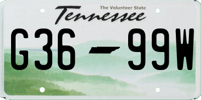 TN license plate G3699W
