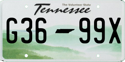 TN license plate G3699X