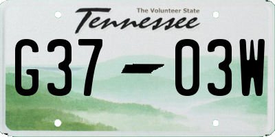 TN license plate G3703W
