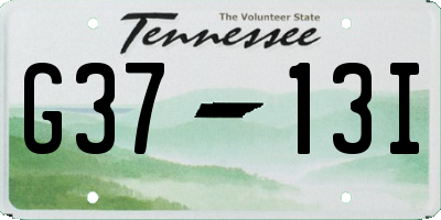 TN license plate G3713I