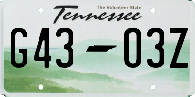 TN license plate G4303Z