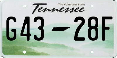 TN license plate G4328F