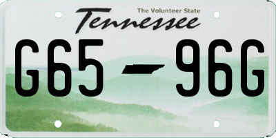 TN license plate G6596G