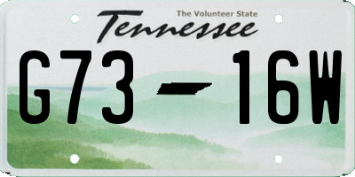 TN license plate G7316W