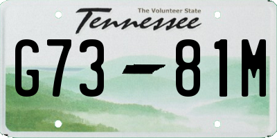 TN license plate G7381M