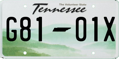 TN license plate G8101X