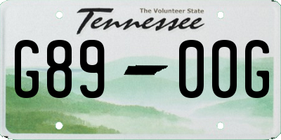 TN license plate G8900G