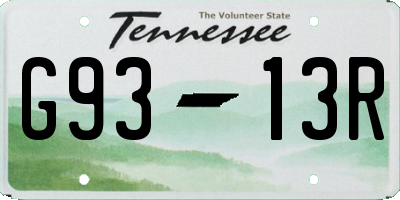TN license plate G9313R