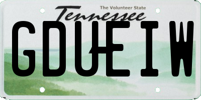 TN license plate GDUEIW