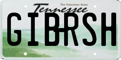 TN license plate GIBRSH